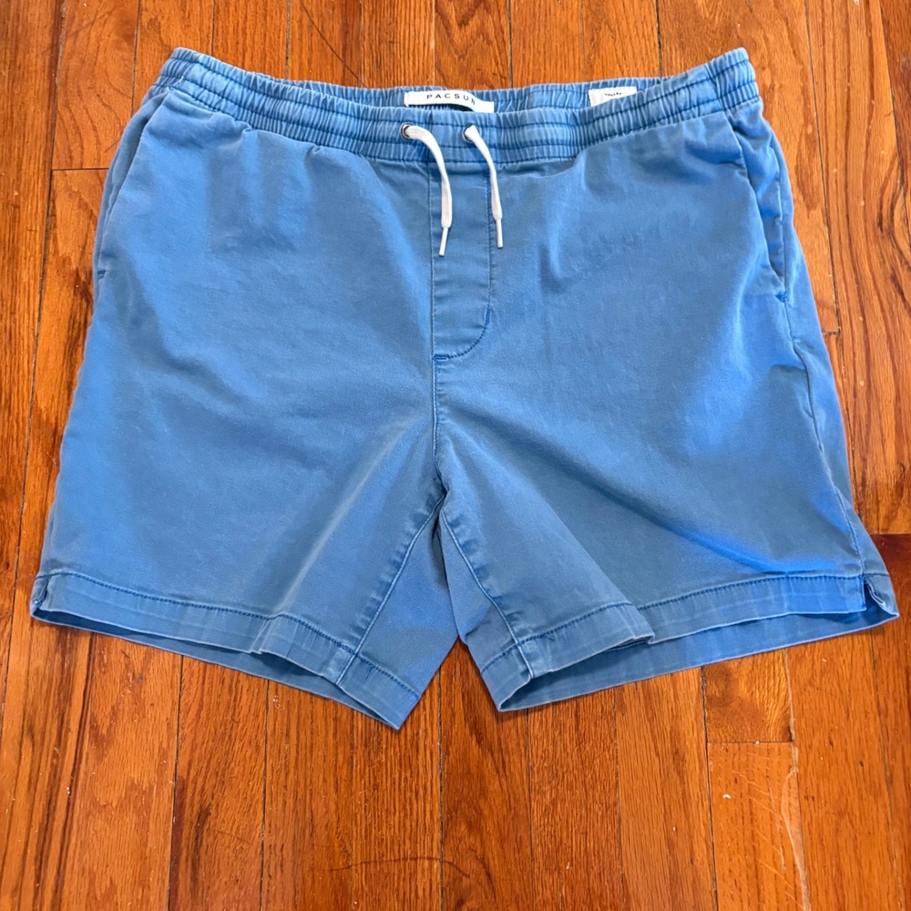 PacSun Men Large Volley Shorts Blue Elastic Waist Drawstring Stretch Pull On